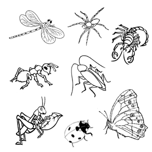 planse de colorat natura